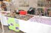 dsc_1014_small.jpg