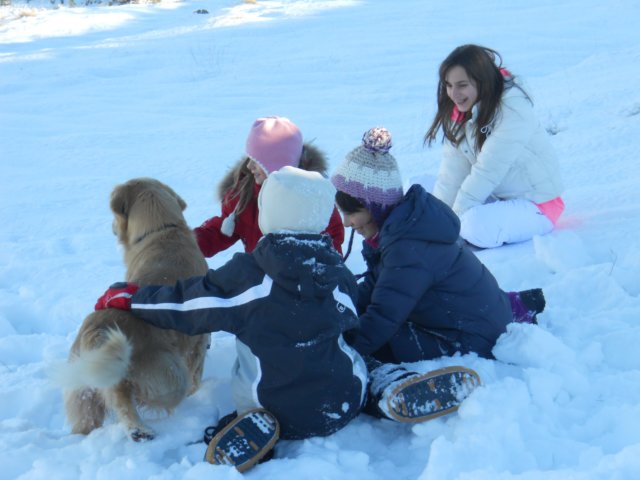 dscn2600.jpg